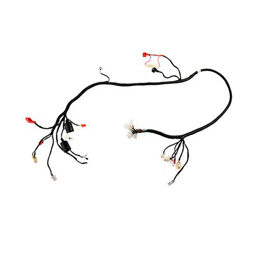 Arnes principal D150 X150D Italika