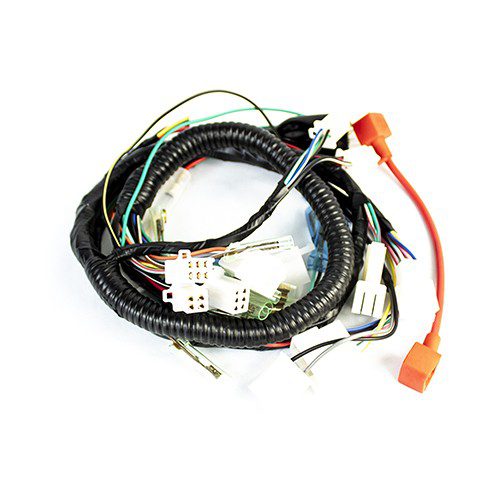 Arnes completo para motocicleta FT125 Kinlley