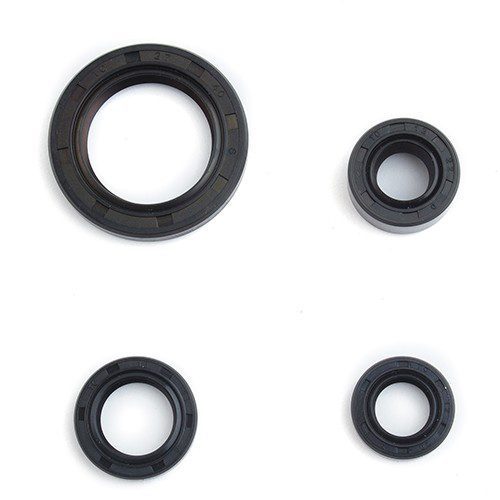 Juego de retenes de motor para motocicleta (4 piezas) EN125-HU