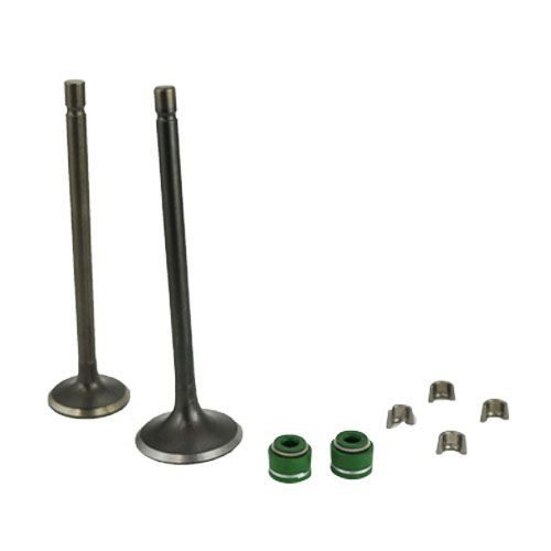 Juego valvulas admisión/escape FT125  Kinlley