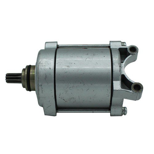 Marcha Workman/Gladiador