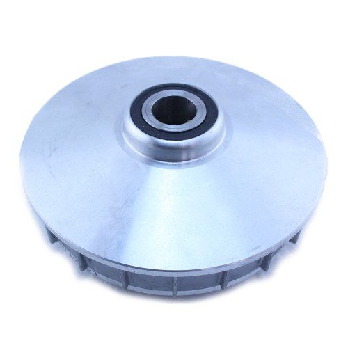 Variador completo de roller Citycom 300i SYM